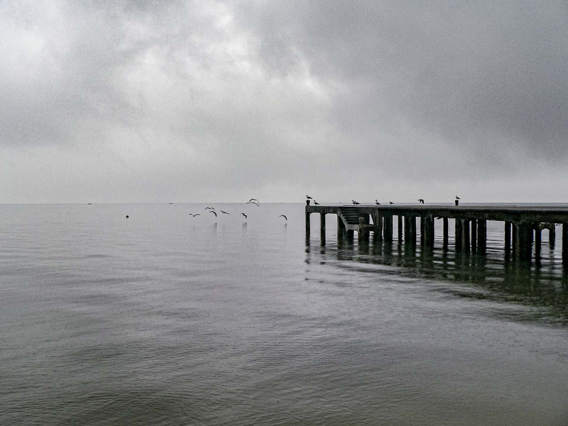 the gulls wedding photographer brazil 185248 (1)