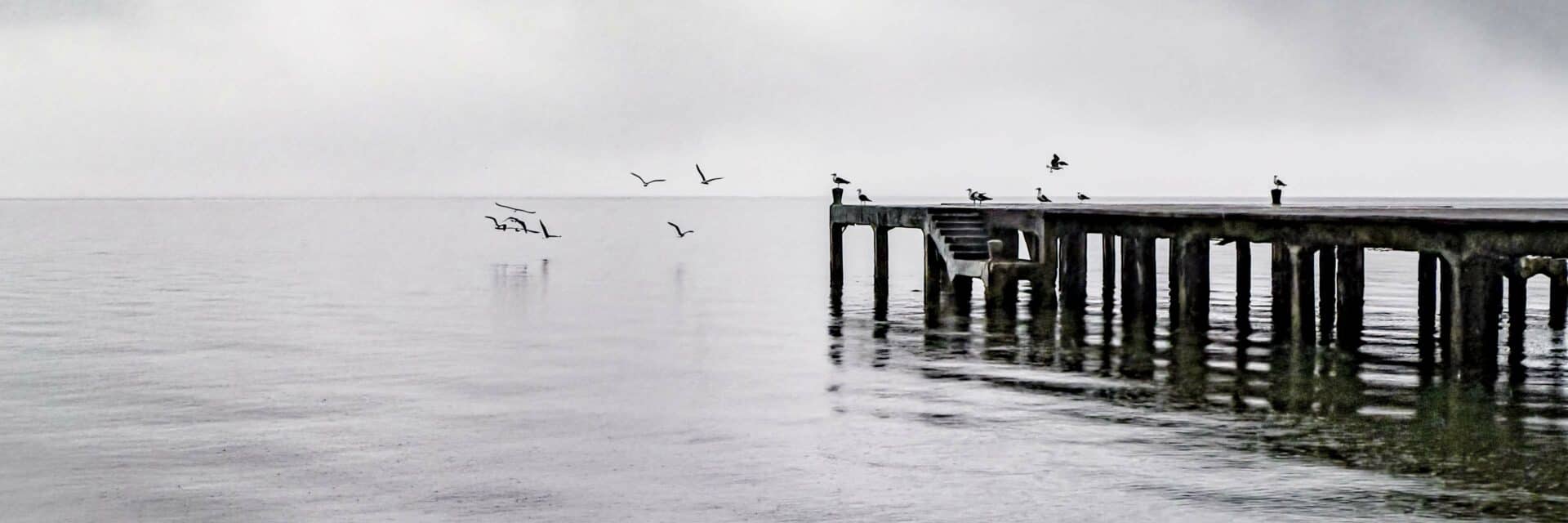 the gulls wedding photographer brazil 185248 narrow crop