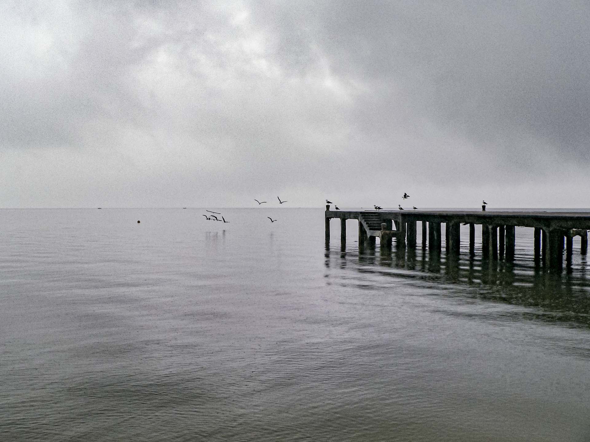 the gulls wedding photographer brazil 185248