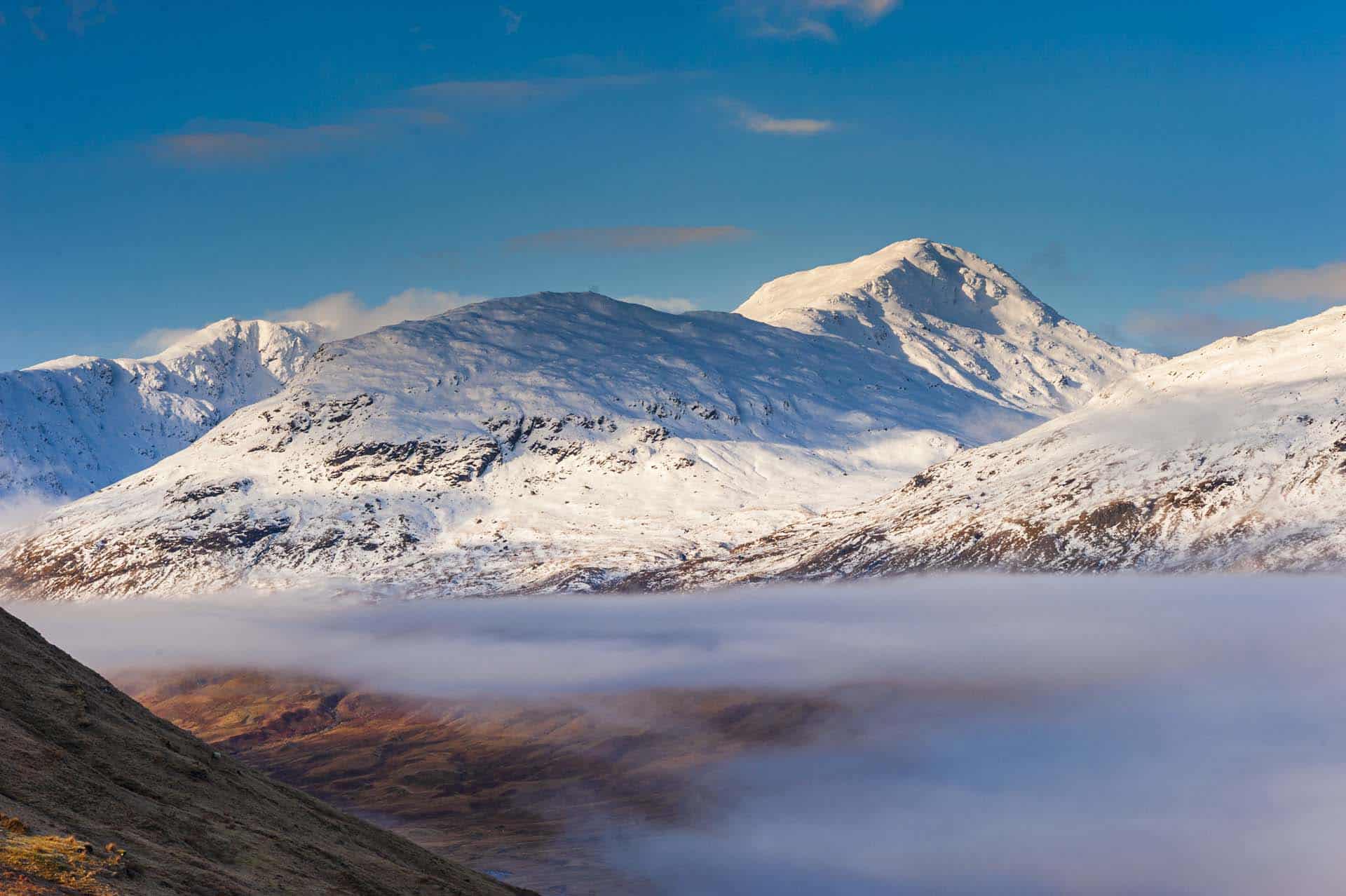 Nikon D700 with Sigma 105 macro in scottish highlands