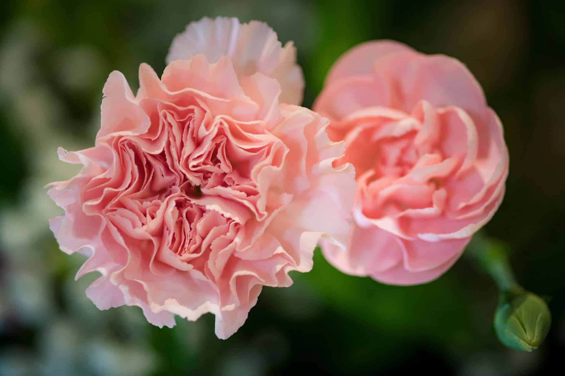flowers Holy Trinity Church Wallington Surrey wedding Bromley kent wedding photographer