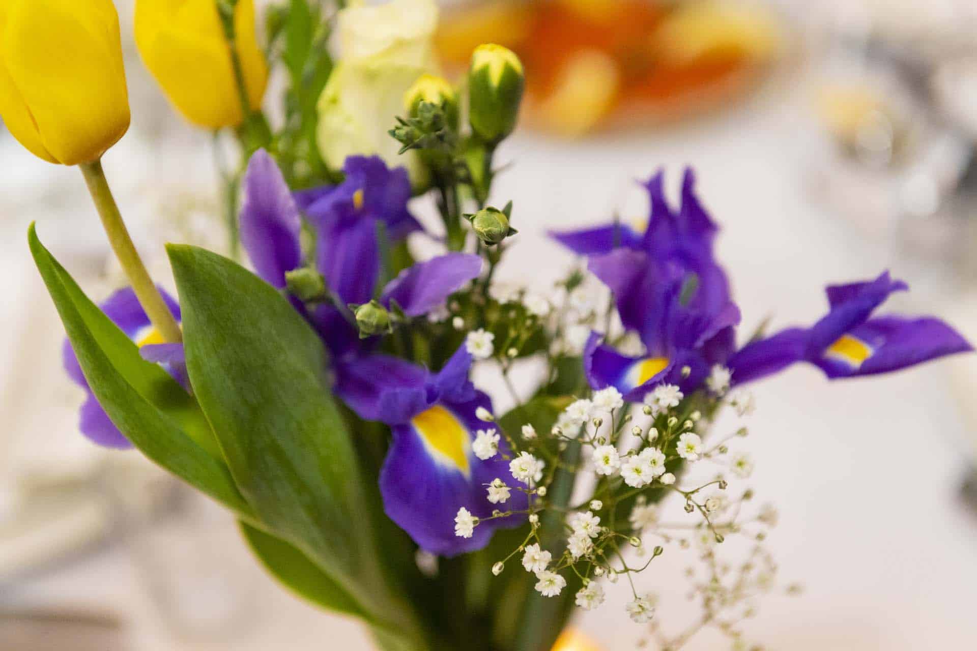 Camberwell wedding Bromley wedding photographer South London Brunswick House 164118