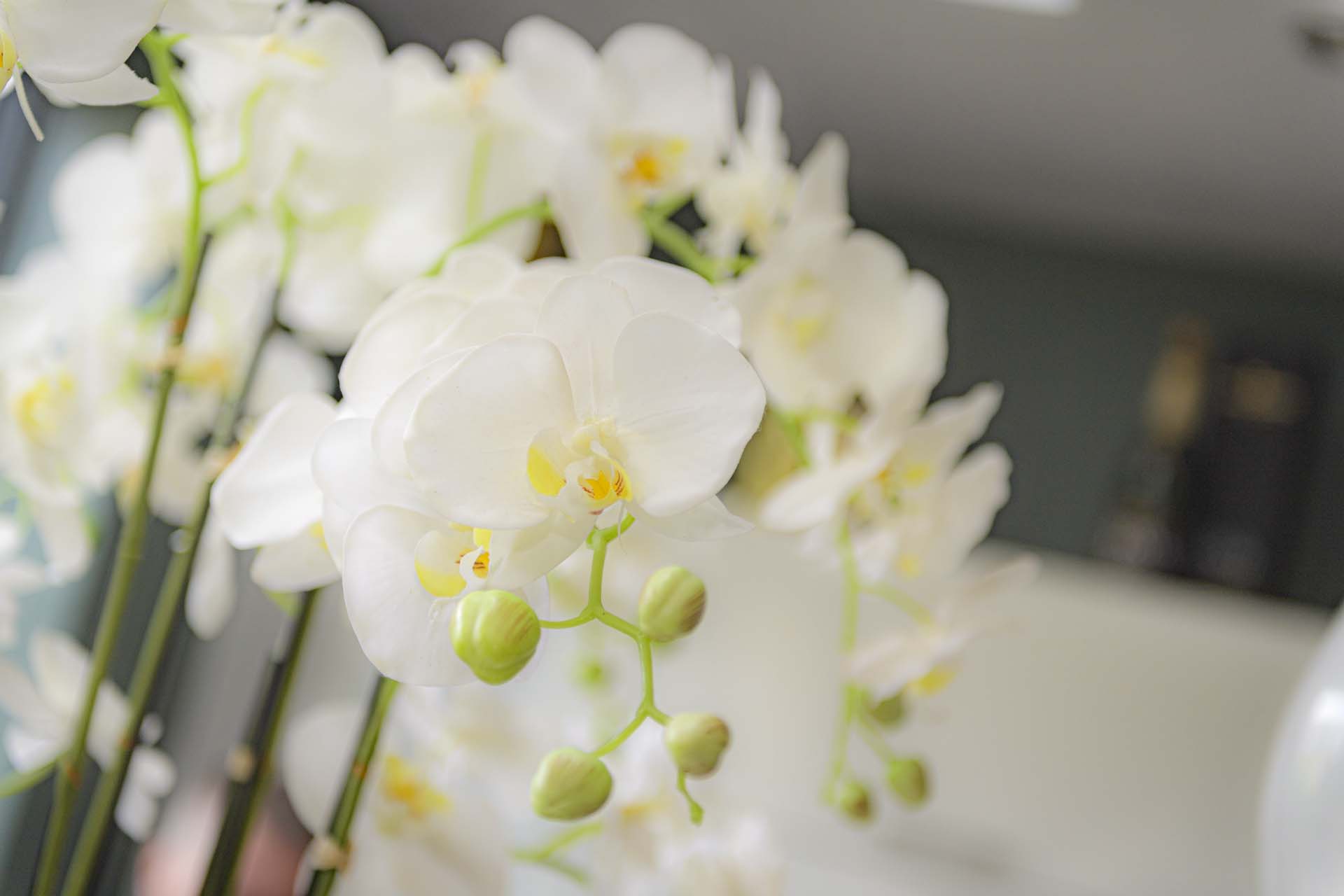 Camberwell wedding photographer South London wedding 131802