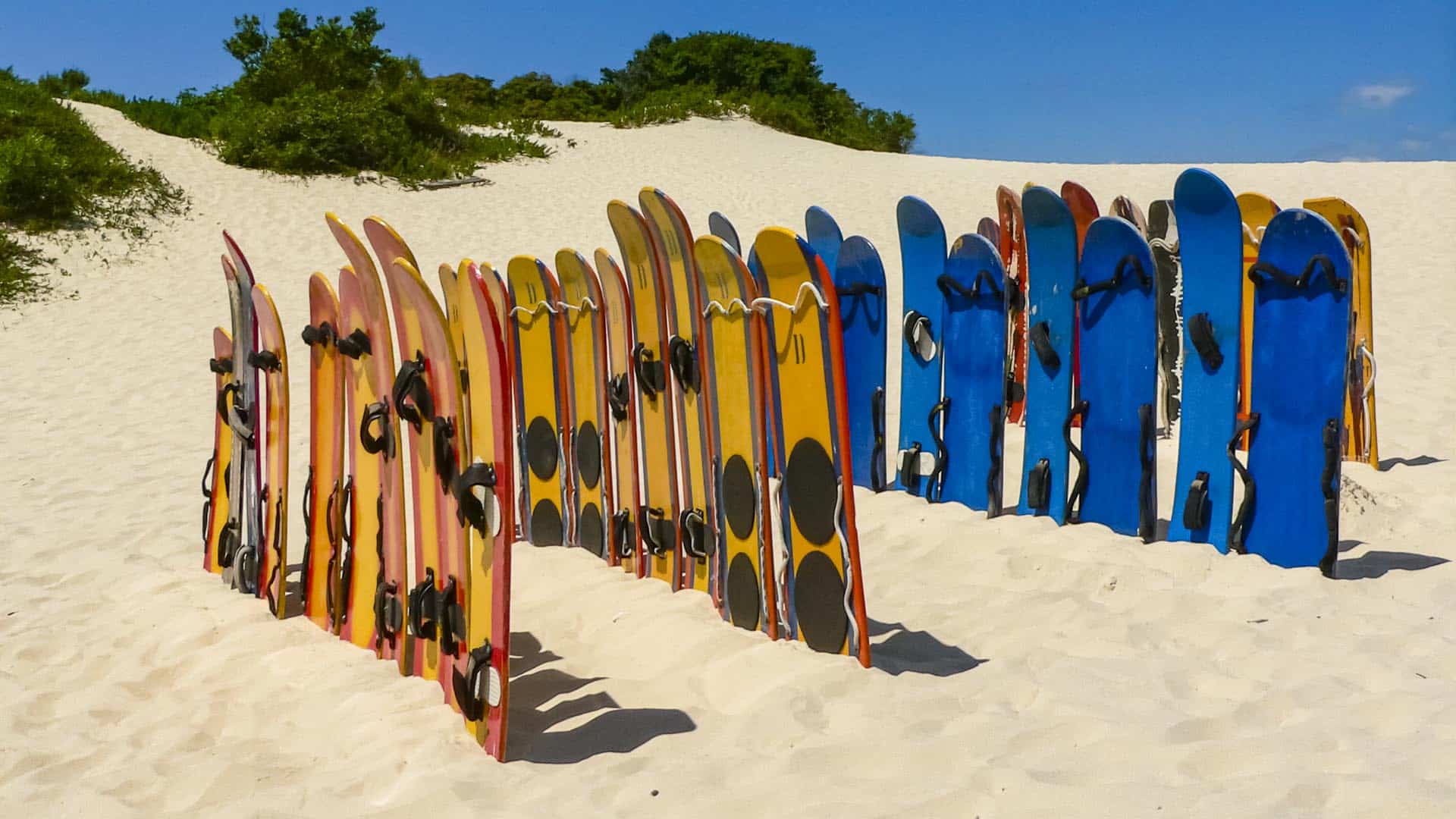 SANDBOARDS OF JOAQUINA: PRANCHAS NAS DUNAS