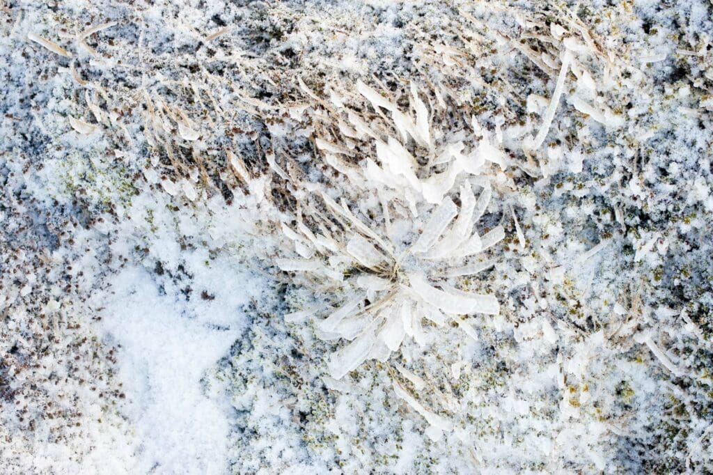 Aviemore12-02-12 12-22-19a_1