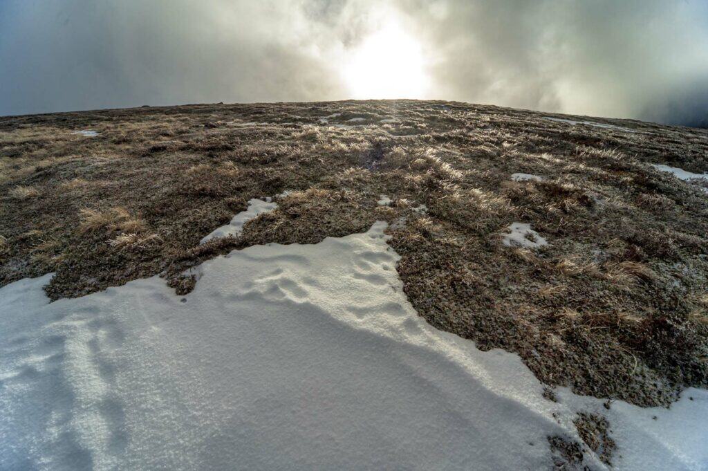 Tundra-like conditions on the way down. The Cairngorms are Britains most important upland area for approaching arctic conditions.