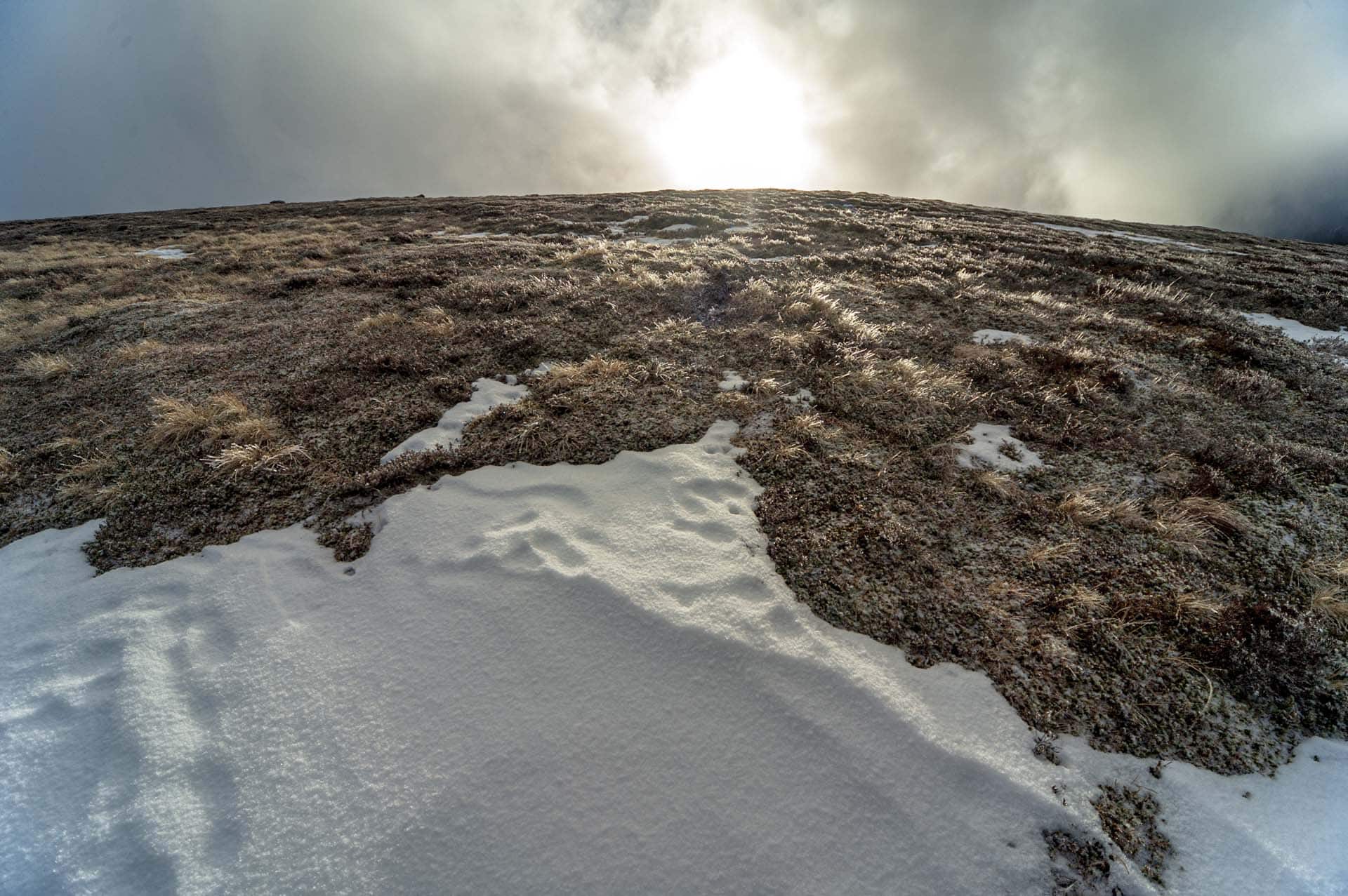 Tundra-like conditions on the way down. The Cairngorms are Britains most important upland area for approaching arctic conditions.