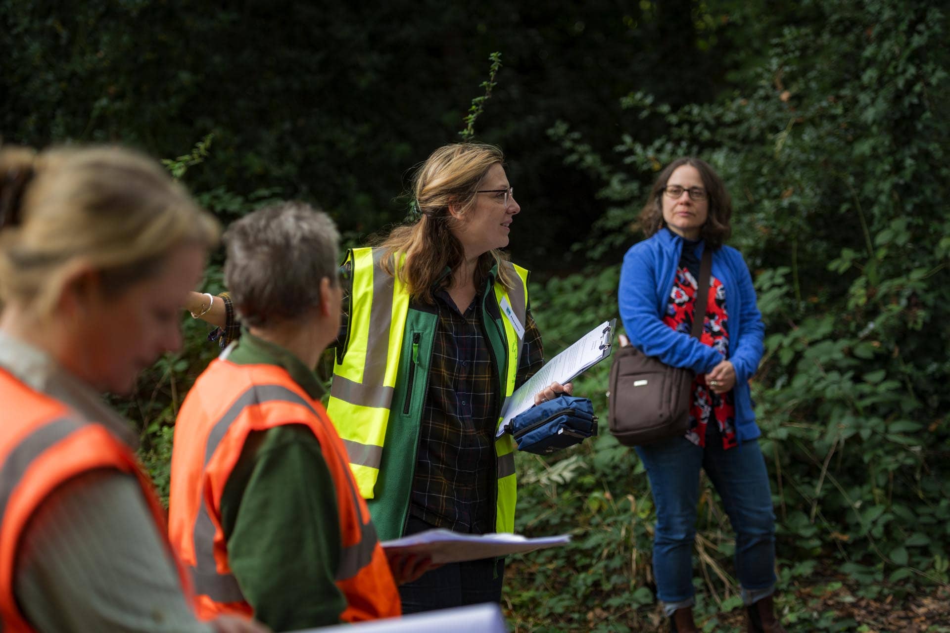 Bromley photographer local life friends of south hill wood and kingswood glen 133712