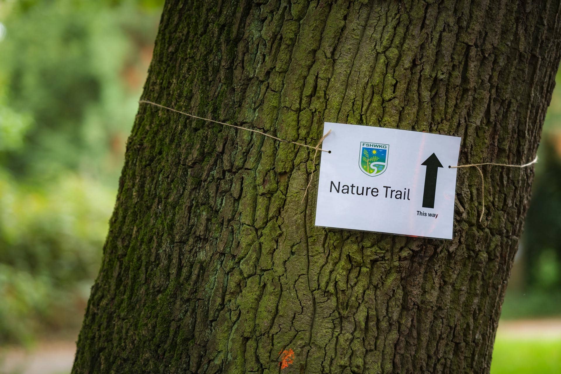 Bromley photographer local life friends of south hill wood and kingswood glen 134205