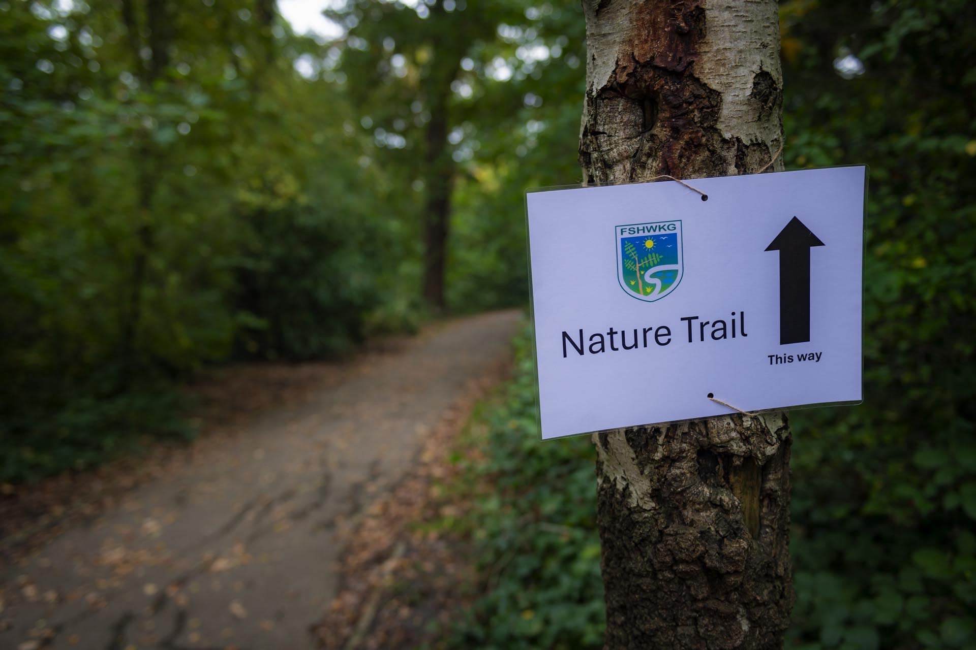 Bromley photographer local life friends of south hill wood and kingswood glen 135837