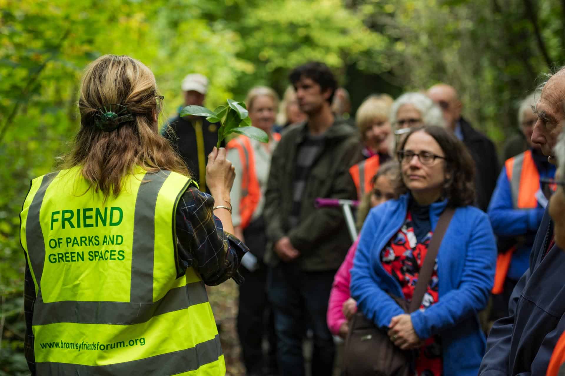 Bromley photographer local life friends of south hill wood and kingswood glen 140649