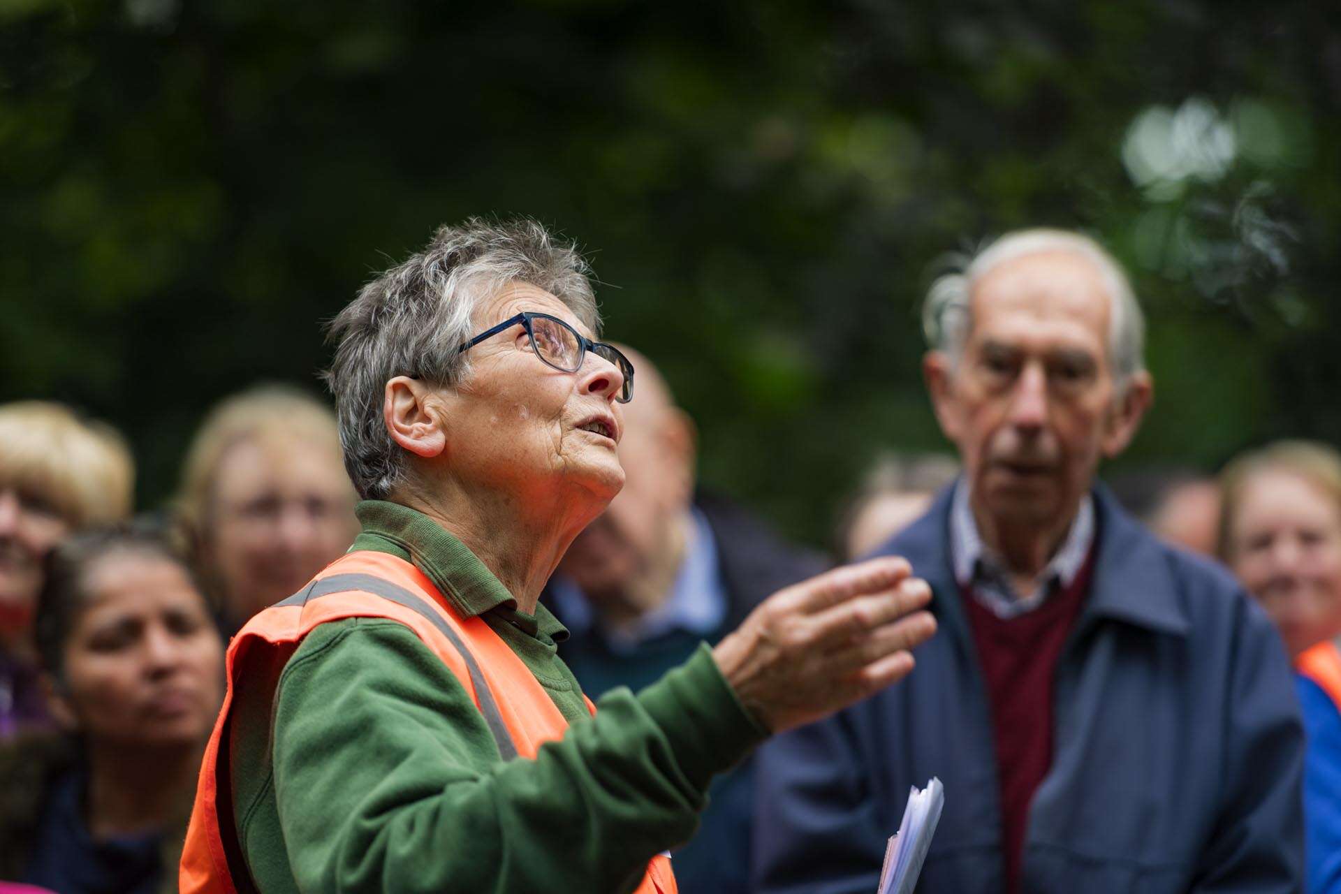 Bromley photographer local life friends of south hill wood and kingswood glen 141027
