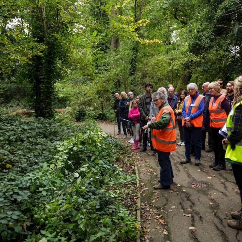 Bromley photographer local life friends of south hill wood and kingswood glen 141422