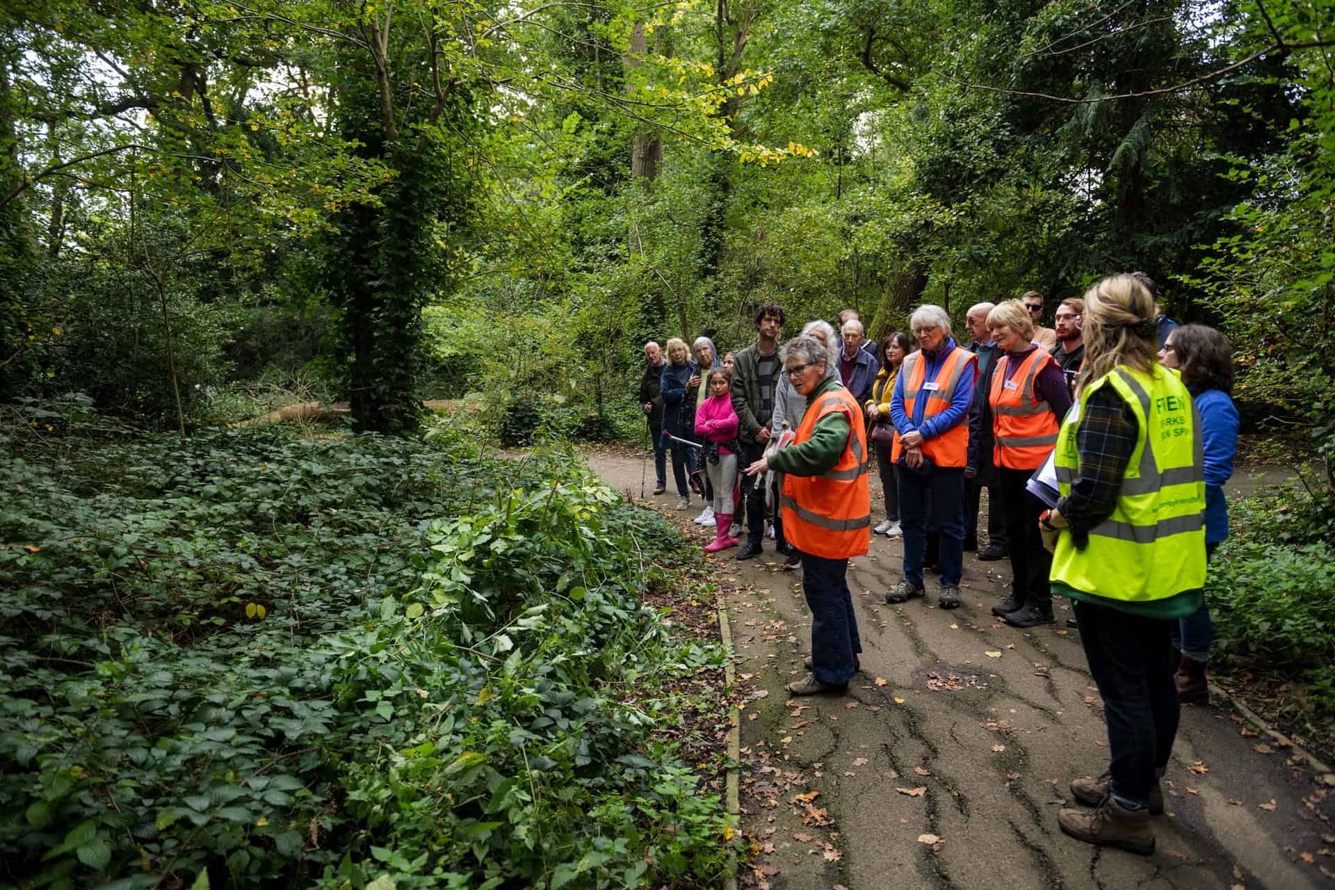 BROMLEY: FRIENDS OF SOUTH HILL WOOD & KINGSWOOD GLEN