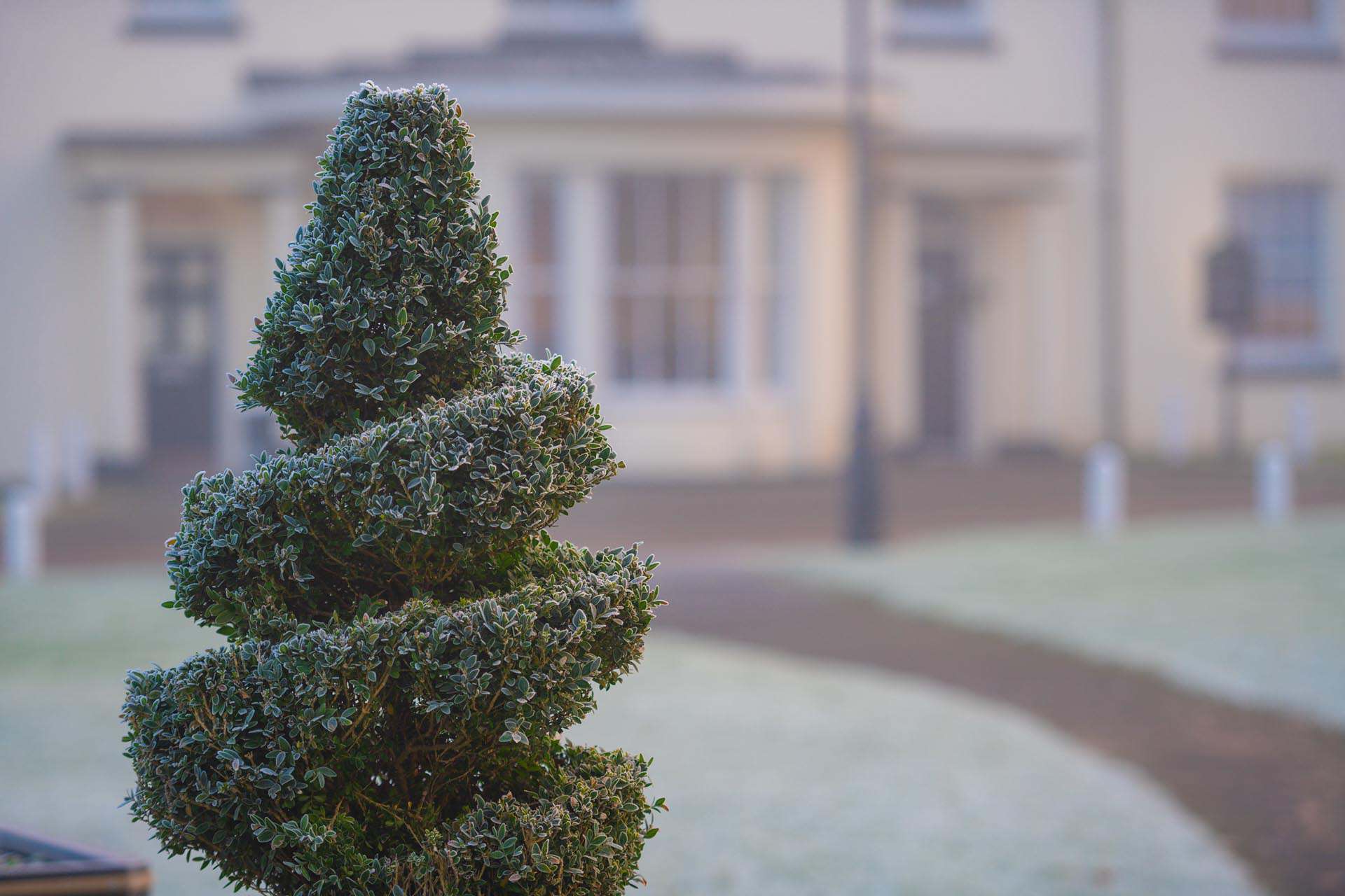 Andy and Runa 250111 103050 a