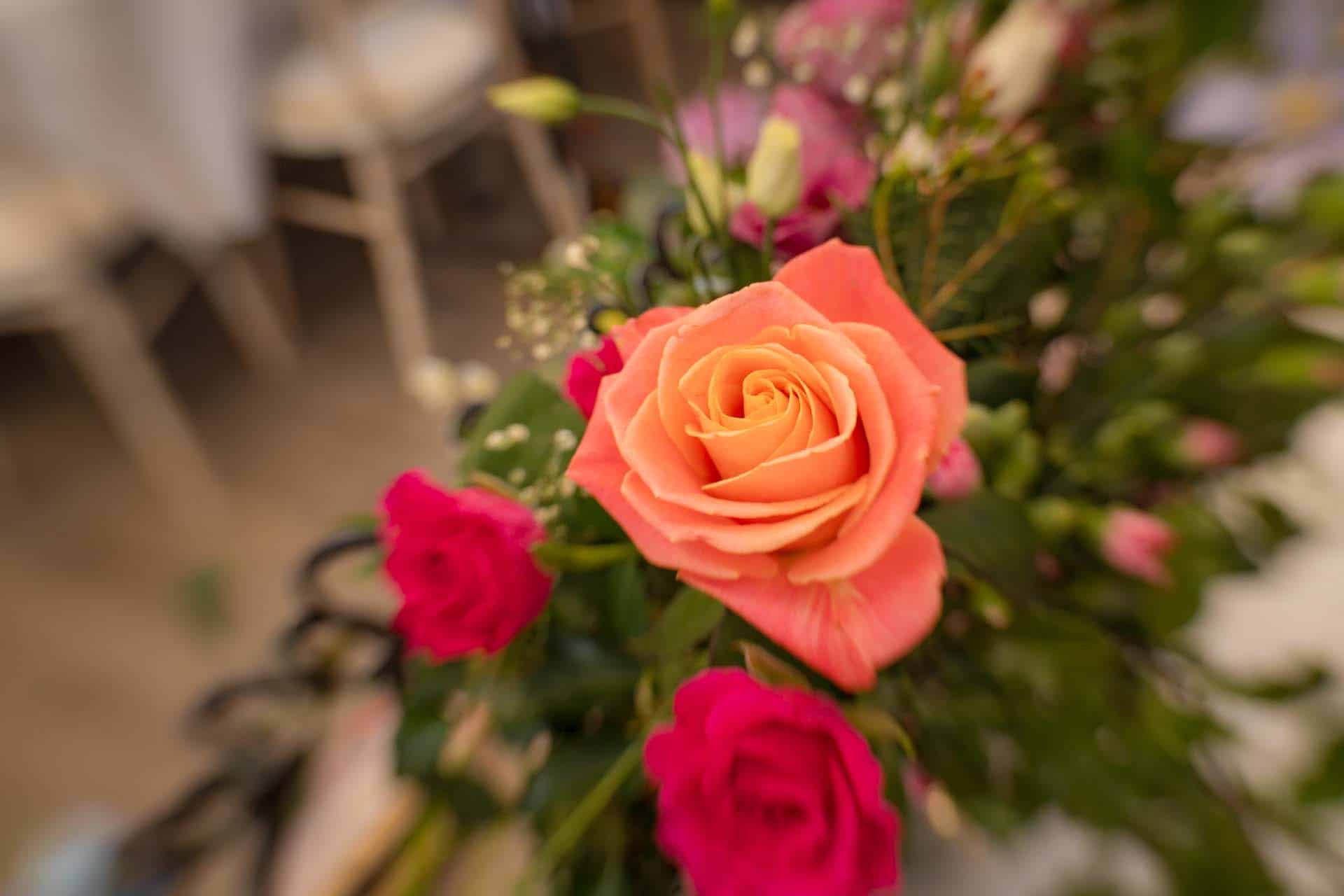 Andy and Runa 250111 131004 a