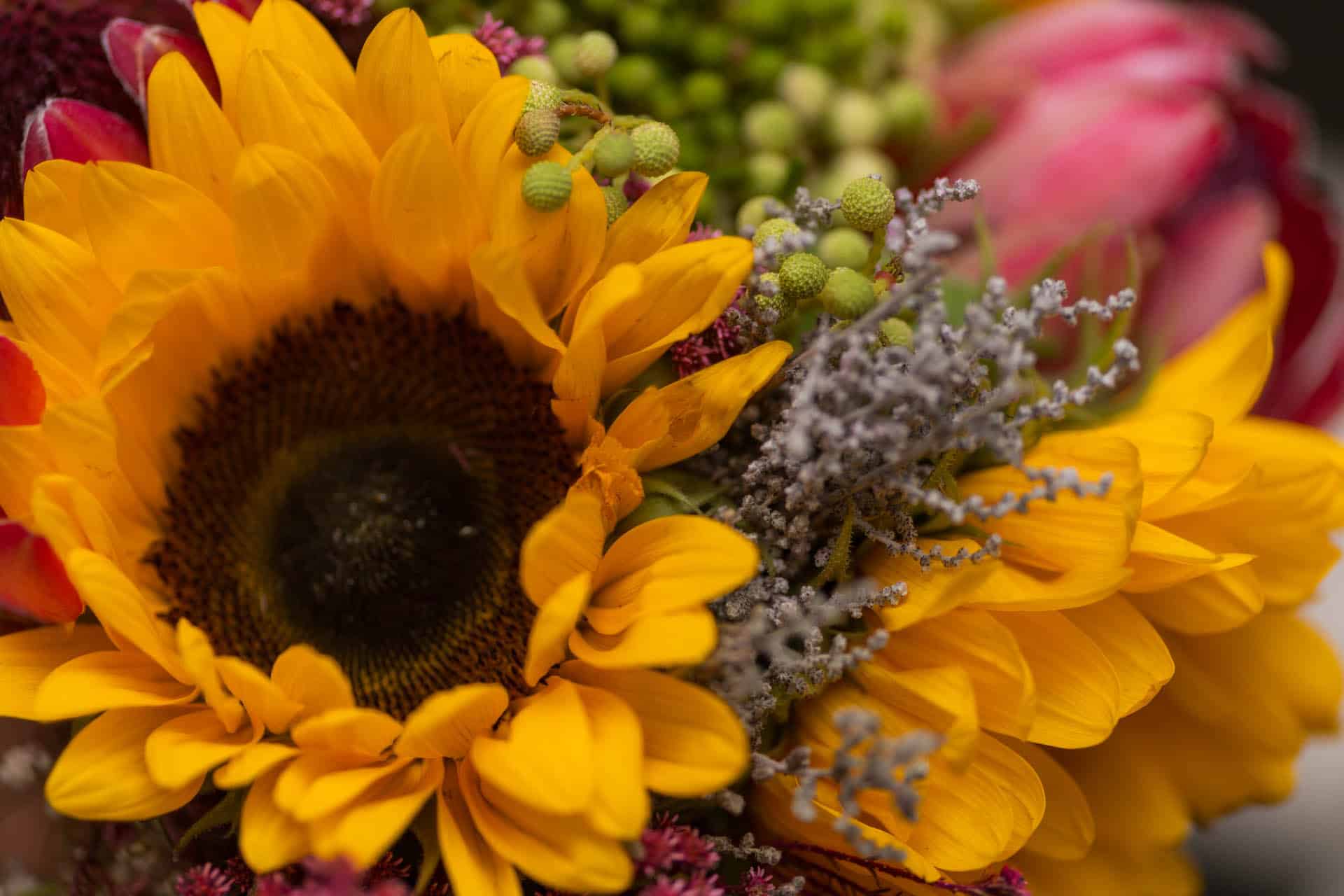 Chelsea Old Town Hall wedding photographer Pedros Wine Bar 084900