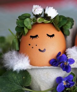An eggshell