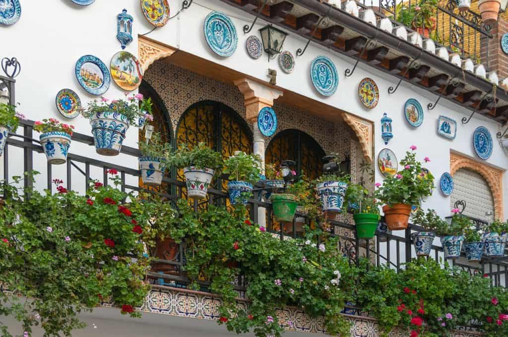 A balcony on the article Top 5 Tall Plants For Your Balcony