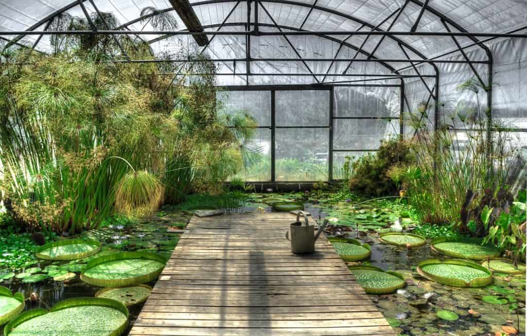 A pond on the article What are the Best Oxygenating Plants for Small Wildlife Ponds