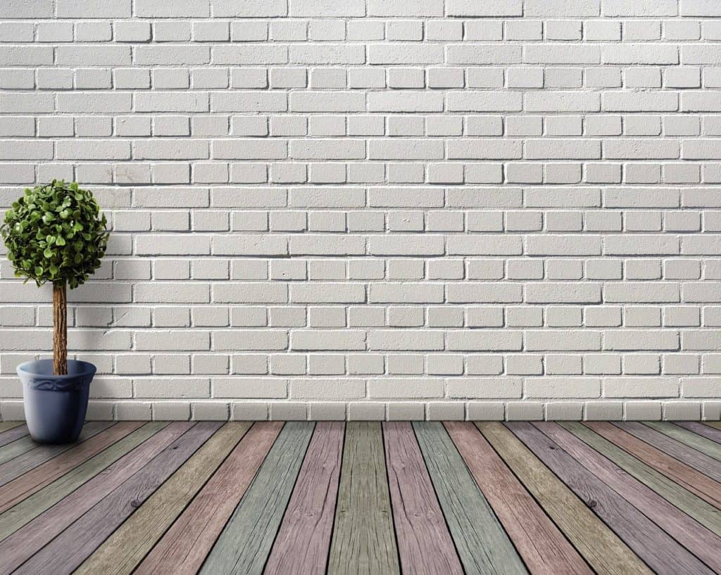 A houseplant on the article How To Use Houseplants for Spiritual Protection