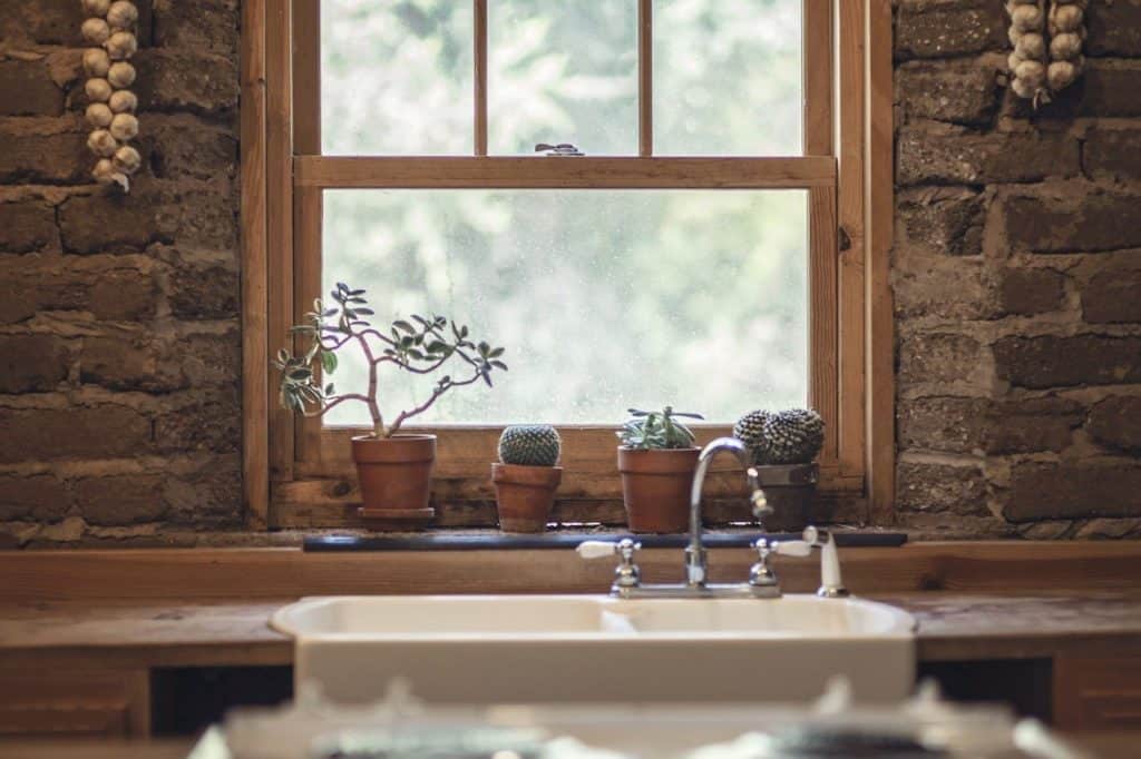 Lots of potted plants a window sill on the article Does Neem Oil Kill Spider Mites