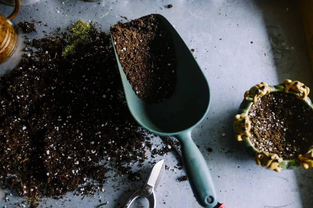 Soil with a gardening tool on the article Using Diatomaceous Earth to Control Spider Mites