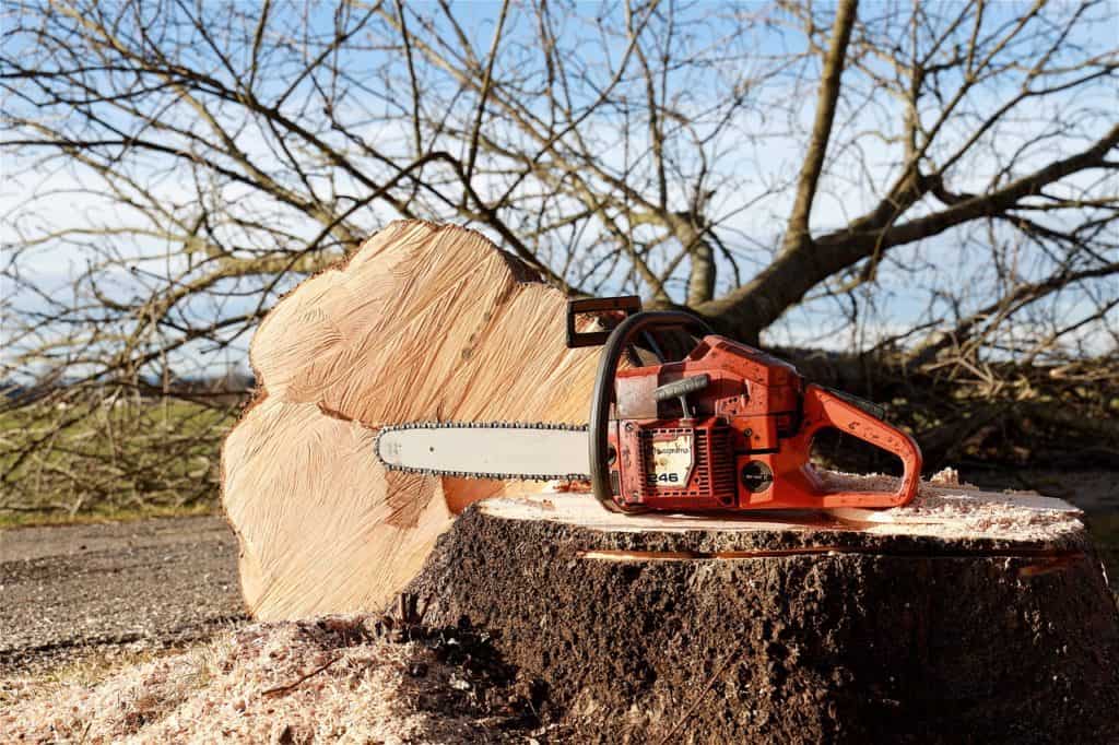 A chainsaw on the article The Best Cordless Pruning Saw Review