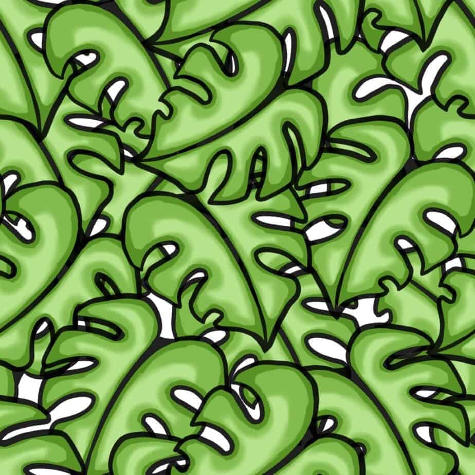 A drawing of a monstera plant which is green