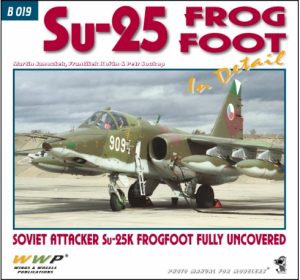 Blue 19.Su-25 Frogfoot in detail