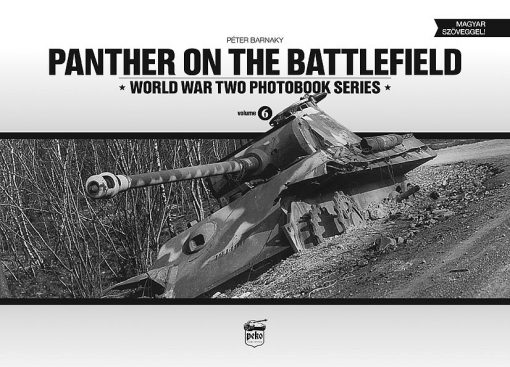 Panther on the Battlefield (Vol.6)