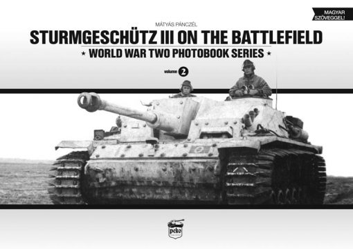 Sturmgeschütz III on the Battlefield (Vol.2)