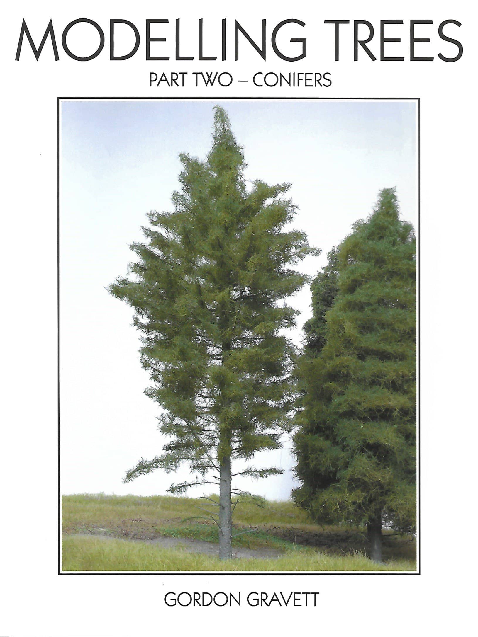 Modelling Trees Part Two-Conifers