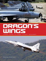 DRAGON`S WINGS