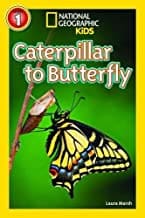 Caterpillar to Butterfly
