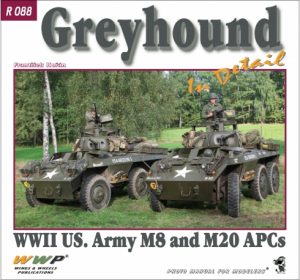 Red 088. Greyhound in Detail