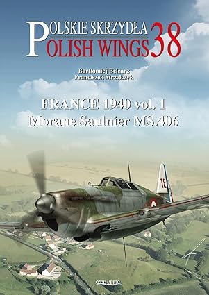 Polish Wings 38