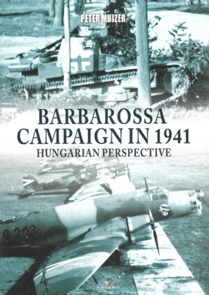 Barbarossa Campaign in 1941