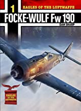 Eagles of the Luftwaffe 1 Focke Wulf Fw190