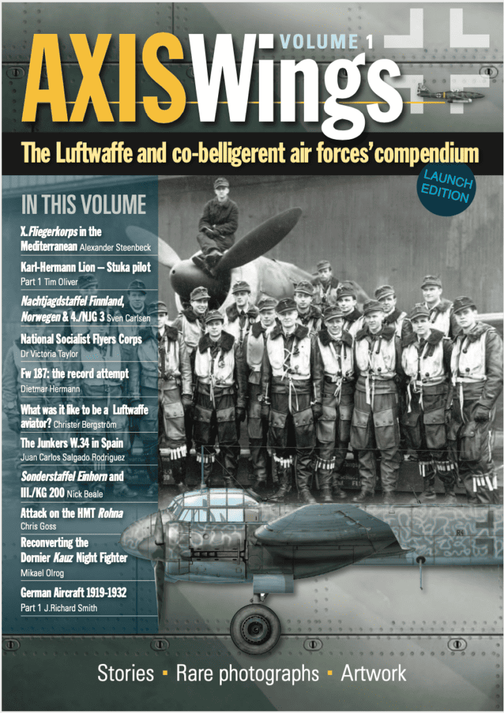 Axis Wings: the Luftwaffe and co-belligerent air forces compendium