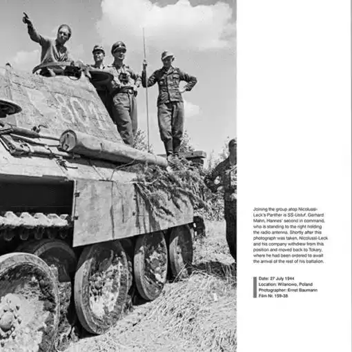 Wiking Sommer - Image 3