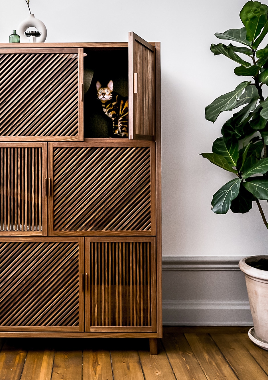 cat sitting in wooden cabinet next to plant