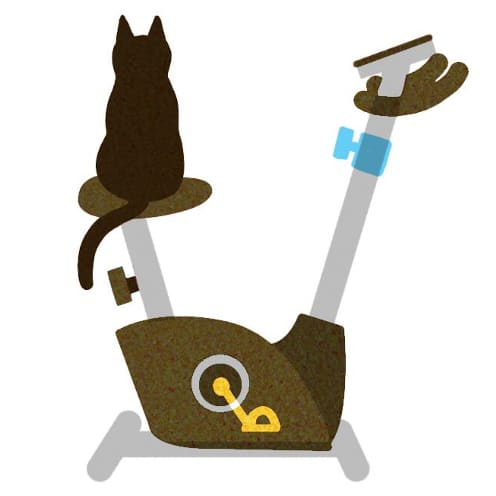 cat sitting on exercise equipment illustation