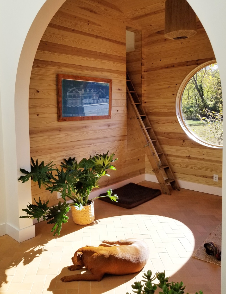 dog sunbathing in atrium of eco-friendly house