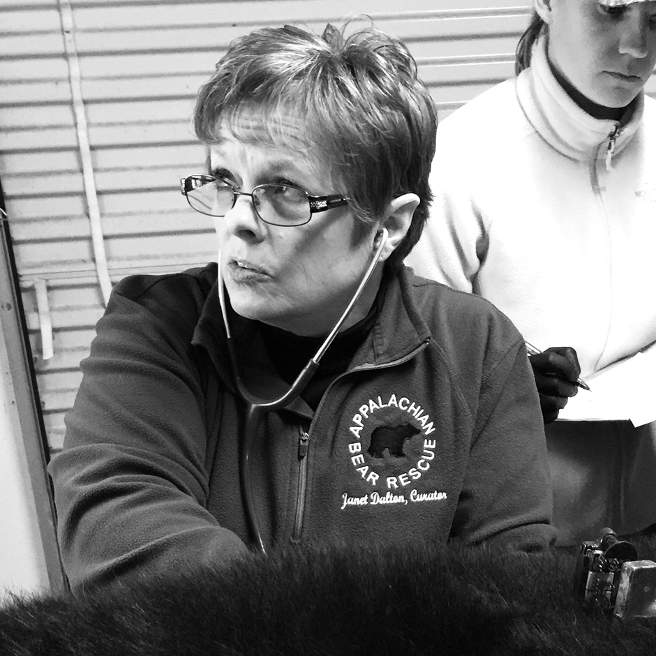 janet tending to bear