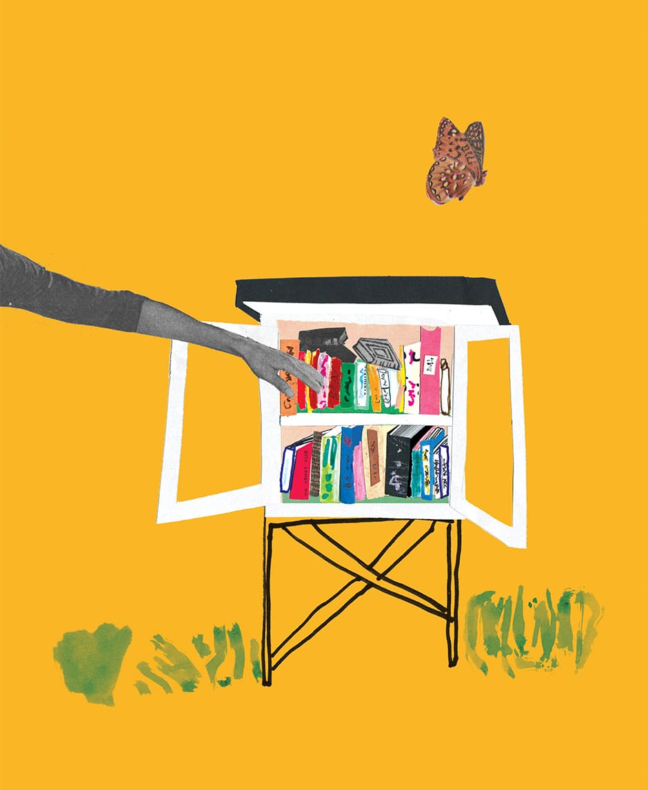 little library illustration