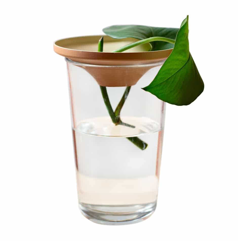 loop living plant-lover gift set