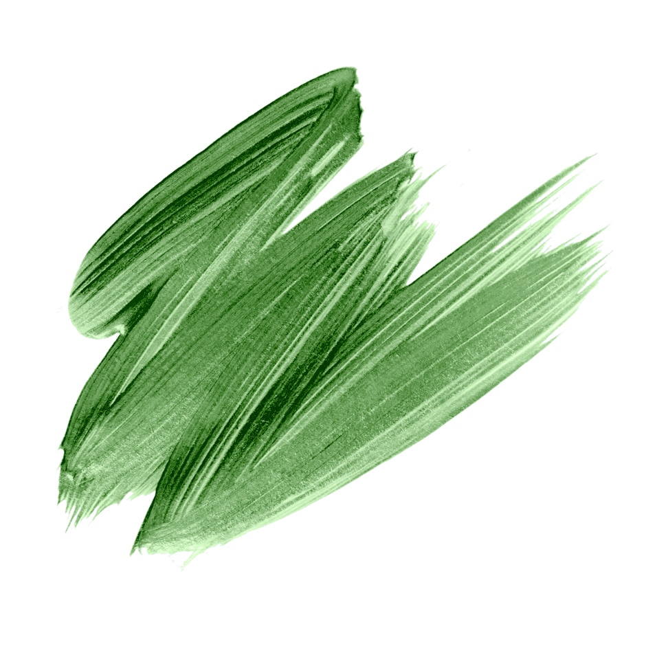 poppy green paint swatch