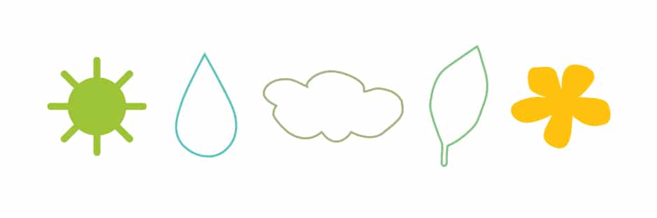 prickly pear cactus care key illustration