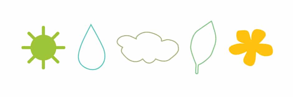 ric-rac cactus care key illustration